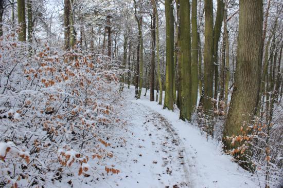 Park Trójmiejski